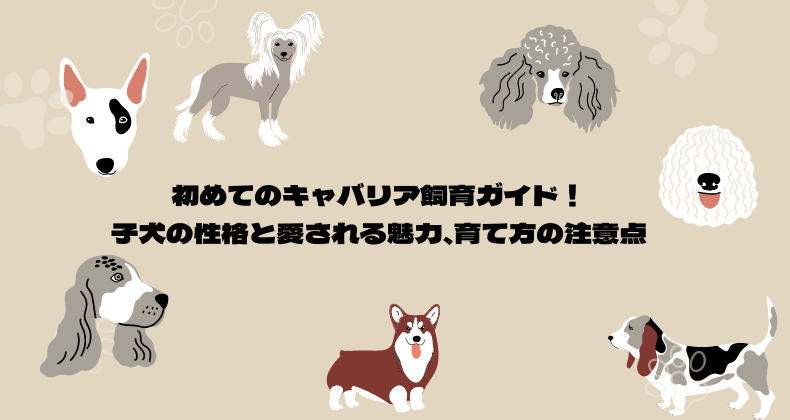 初めてのキャバリア飼育ガイド！子犬の性格と愛される魅力、育て方の注意点