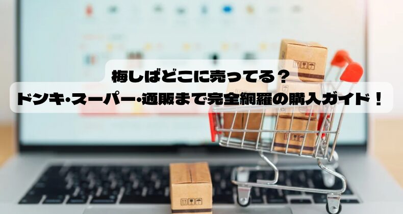 梅しばどこに売ってる？ドンキ・スーパー・通販まで完全網羅の購入ガイド！